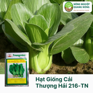 Hạt Giống Cải Thìa Thượng Hải TN 216 - Trang Nông