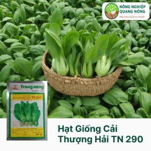 Hạt Giống Cải Thượng Hải TN 290 - Trang Nông  20 gram