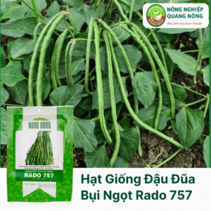 Hạt Giống Đậu Đũa Bụi Ngọt RADO 757 - 20 gram