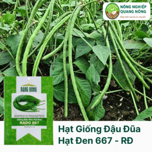 Hạt Giống Đậu Đũa Hạt Đen 667 - Rạng Đông