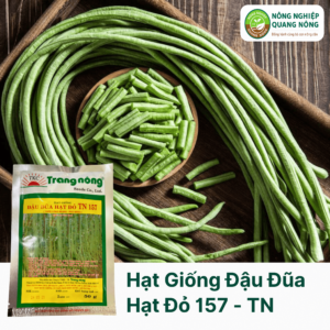 Hạt Giống Đậu Đũa Hạt Đỏ 157 - Trang Nông