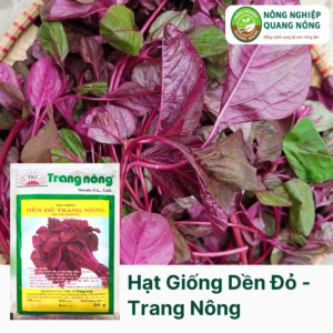 Hạt Giống Dền Đỏ - Trang Nông