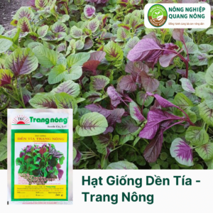 Hạt Giống Dền Tía - Trang Nông