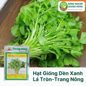 Hạt Giống Dền Xanh Lá Tròn - Trang Nông  50 gram