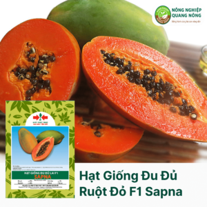Hạt Giống Đu Đủ Ruột Đỏ Lai F1 SAPNA - Hai Mũi Tên Đỏ