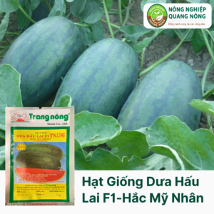 Hạt Giống Dưa Hấu Lai F1 TN 1346 - Hắc Mỹ Nhân - Trang Nông