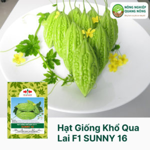 Hạt Giống Khổ Qua Lai F1 SUNNY 16 - Hai Mũi Tên Đỏ