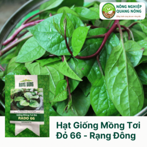 Hạt Giống Mồng Tơi Đỏ - Rạng Đông  2 gram