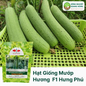 Hạt Giống Mướp Hương Lai F1 - Hưng Phú - Hai Mũi Tên