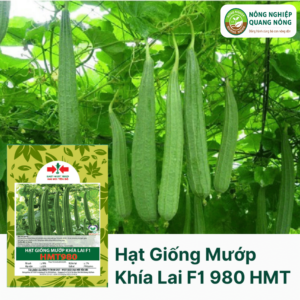 Hạt Giống Mướp Khía Lai F1 980 - Hai Mũi Tên Đỏ