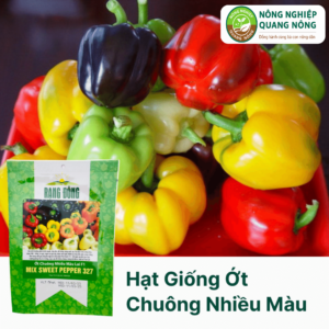 Hạt Giống Ớt Chuông Nhiều Màu Lai F1 327 - 5 Hạt