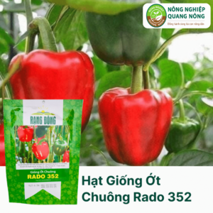 Hạt Giống Ớt Chuông RADO 352 - 0.5 gram