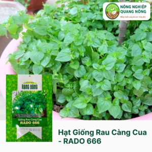Hạt Giống Rau Càng Cua - RADO 666
