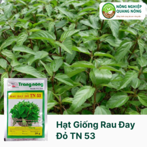 Hạt Giống Rau Đay Đỏ TN 53 - Trang Nông