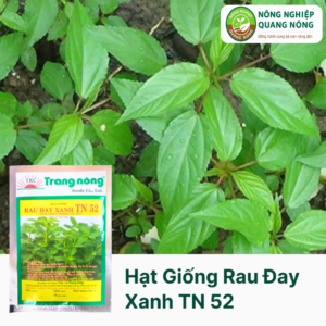 Hạt Giống Rau Đay Xanh TN 52 - Trang Nông