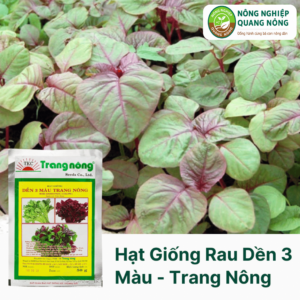 Hạt Giống Rau Dền 3 Màu - Trang Nông