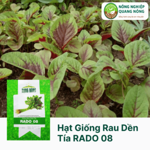Hạt Giống Rau Dền Tía RADO 08 - Rạng Đông