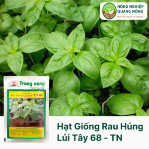 Hạt Giống Rau Húng Lủi Tây TN 68 - Trang Nông