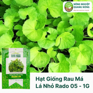 Hạt Giống Rau Má Lá Nhỏ RADO 05 - 1 gram