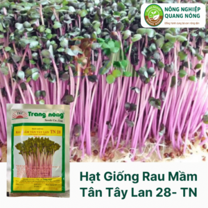 Hạt Giống Rau Mầm Tân Tây Lan 28 - Trang Nông