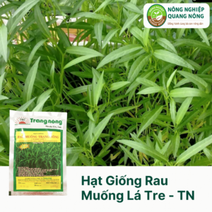 Hạt Giống Rau Muống Lá Tre - Trang Nông