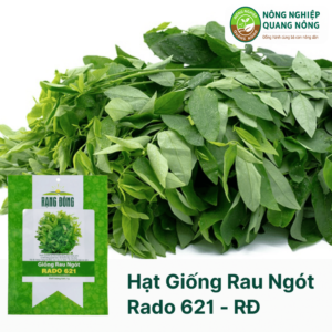 Hạt Giống Rau Ngót RADO 621 - Rạng Đông