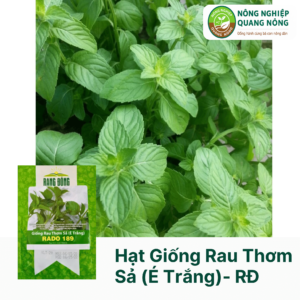 Hạt Giống Rau Thơm Sả (É Trắng)  - Rạng Đông  5 gram