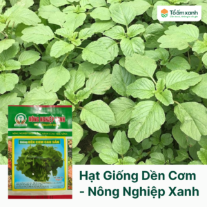 Hạt Giống Dền Cơm - Nông Nghiệp Xanh