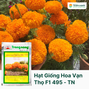 Hạt Giống Hoa Vạn Thọ F1 TN 495 - Trang Nông