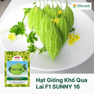 Hạt Giống Khổ Qua Lai F1 SUNNY 16 - Hai Mũi Tên Đỏ