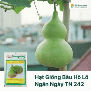 Hạt Giống Bầu Hồ Lô Ngắn Ngày TN 242 - Trang Nông