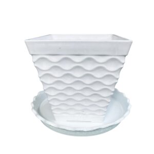 Chậu Nhựa Mvl 130 + Dĩa Đựng Chậu Vừa