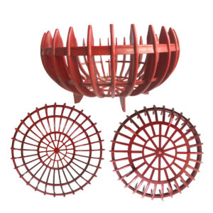 Chậu Lan Bí Đỏ - Màu Đỏ Đô