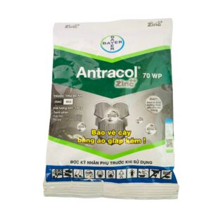 Thuốc Trị Bệnh - Diệt Nấm Bệnh Antracol 70WP